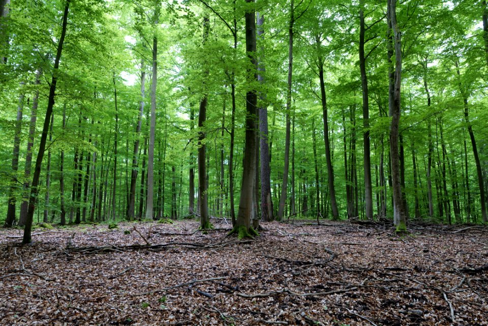 SAC Kleine Schorfheide - Havel 2021-05-29 73