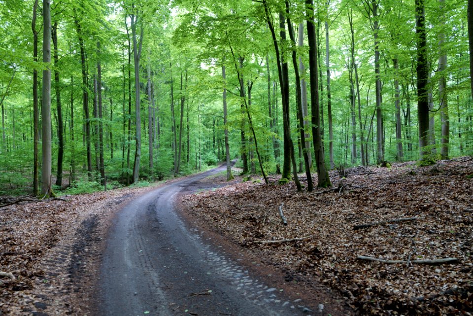 SAC Kleine Schorfheide - Havel 2021-05-29 93