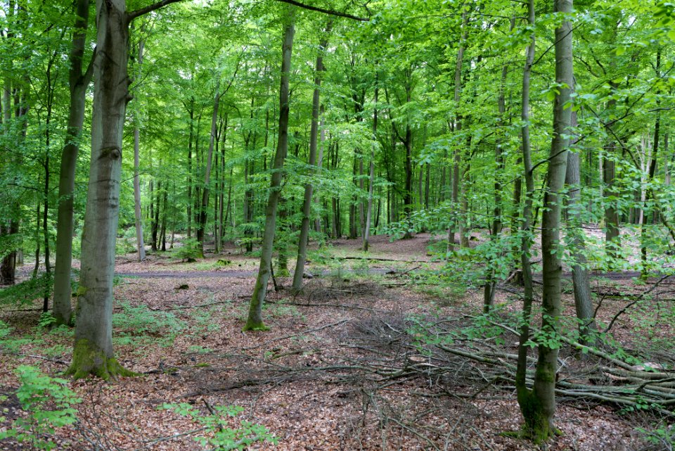 SAC Kleine Schorfheide - Havel 2021-05-29 55