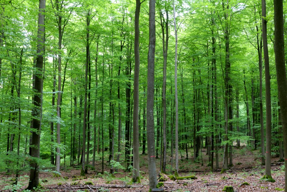 SAC Kleine Schorfheide - Havel 2021-05-29 82
