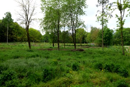 SAC Kleine Schorfheide - Havel 2021-05-29 17