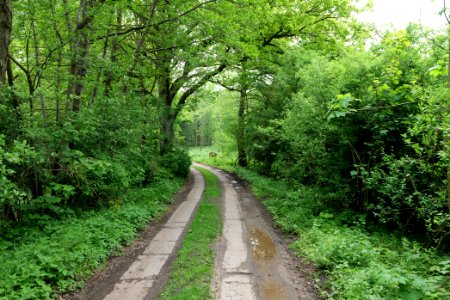 SAC Kleine Schorfheide - Havel 2021-05-29 16