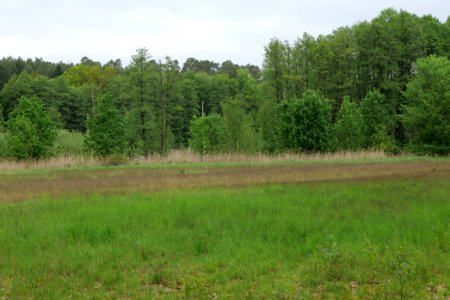 SAC Kleine Schorfheide - Havel 2021-05-29 31