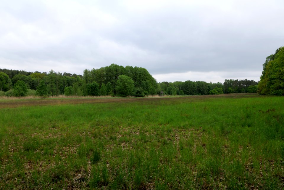 SAC Kleine Schorfheide - Havel 2021-05-29 26
