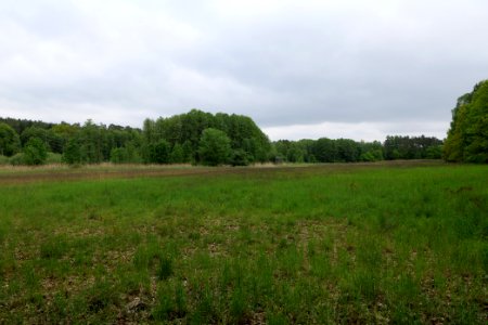 SAC Kleine Schorfheide - Havel 2021-05-29 26