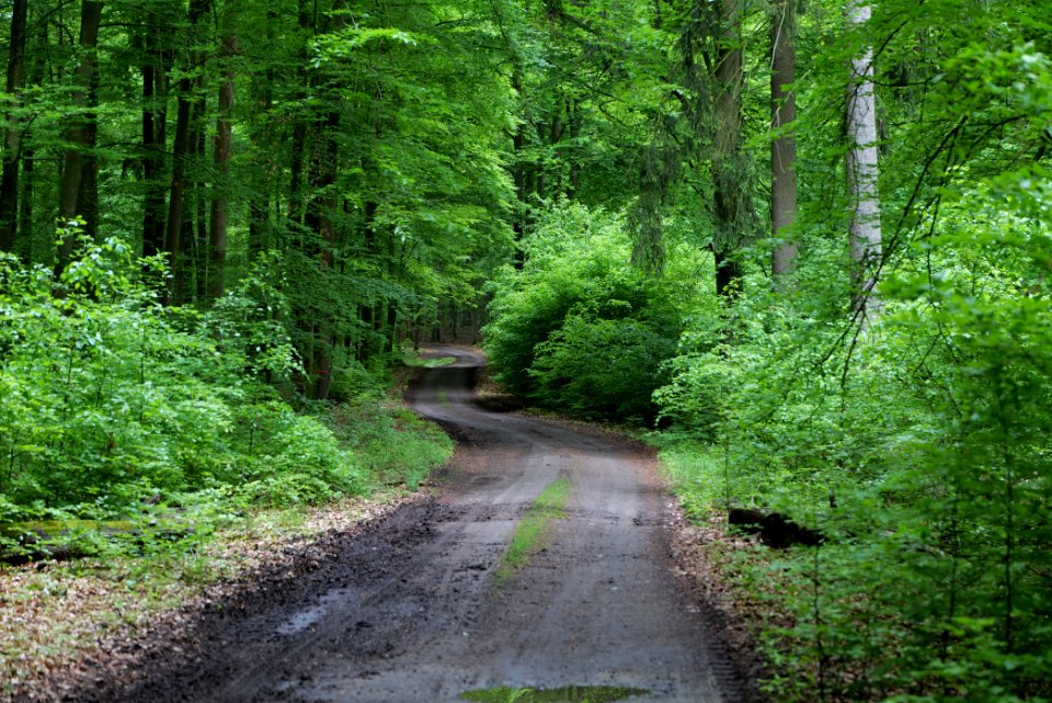 SAC Kleine Schorfheide - Havel 2021-05-29 84