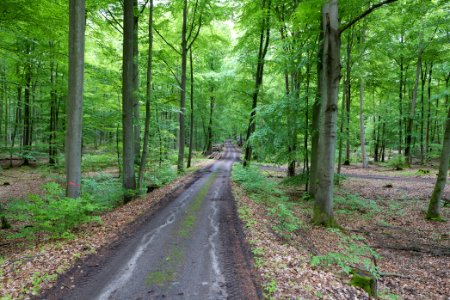 SAC Kleine Schorfheide - Havel 2021-05-29 51