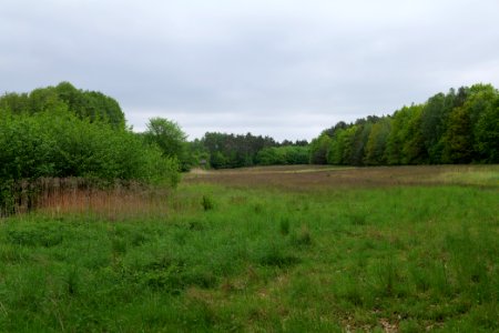 SAC Kleine Schorfheide - Havel 2021-05-29 24