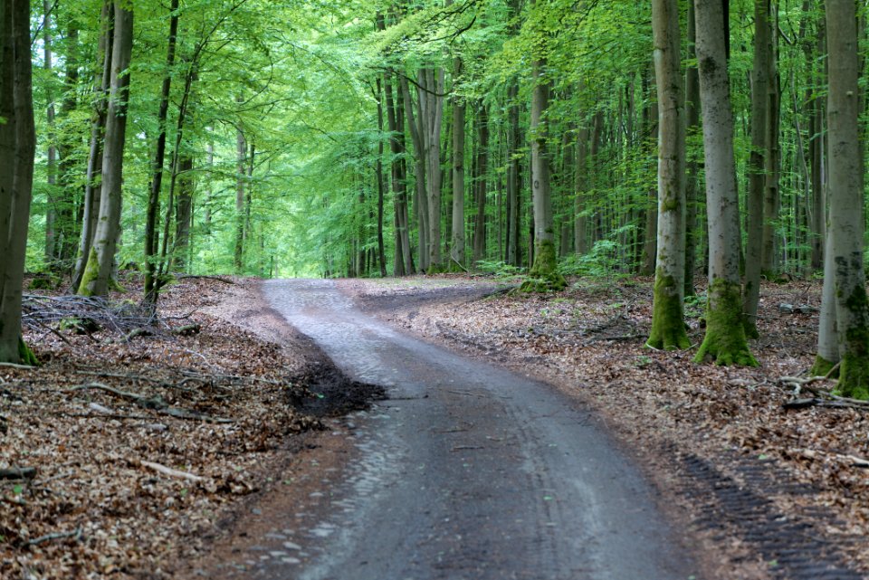 SAC Kleine Schorfheide - Havel 2021-05-29 90