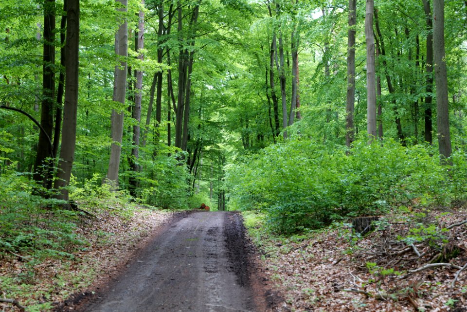 SAC Kleine Schorfheide - Havel 2021-05-29 37