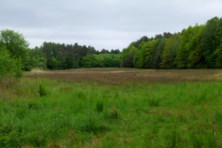 SAC Kleine Schorfheide - Havel 2021-05-29 20