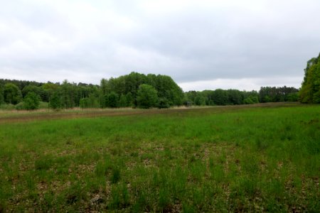 SAC Kleine Schorfheide - Havel 2021-05-29 25