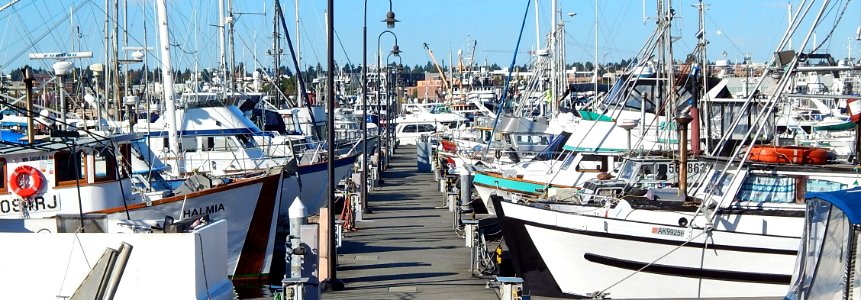 Seattle Fishermen's Terminal boats