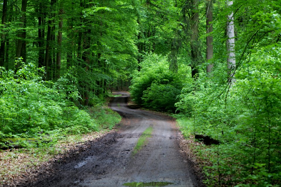 SAC Kleine Schorfheide - Havel 2021-05-29 83