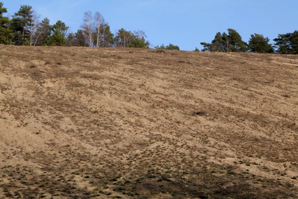 SAC Saarmunder Berg 2021-02-24 103