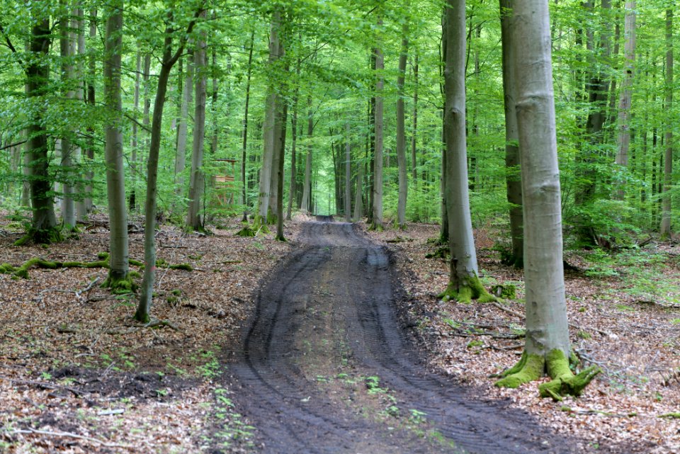 SAC Kleine Schorfheide - Havel 2021-05-29 61