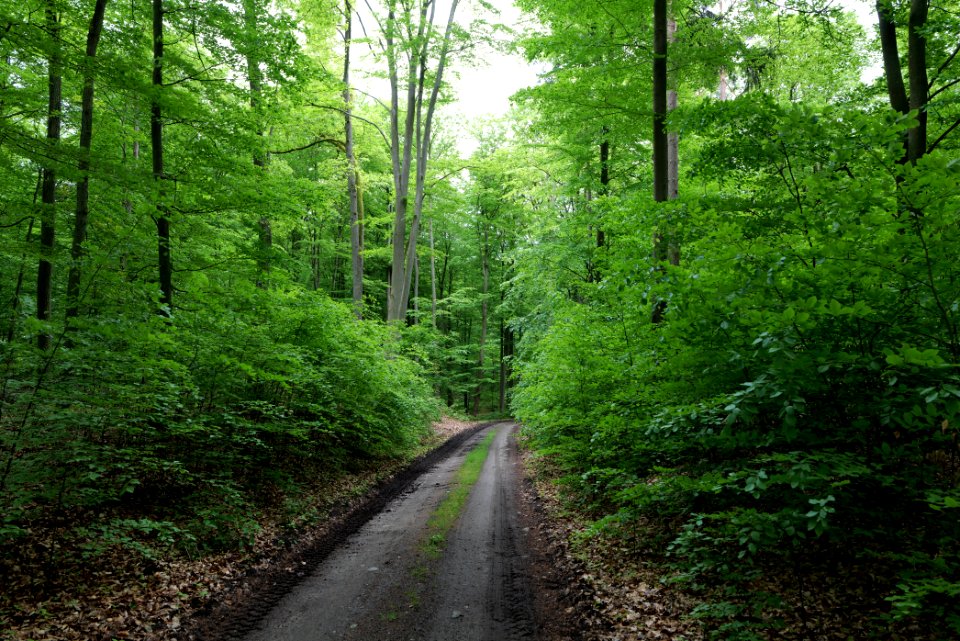 SAC Kleine Schorfheide - Havel 2021-05-29 43