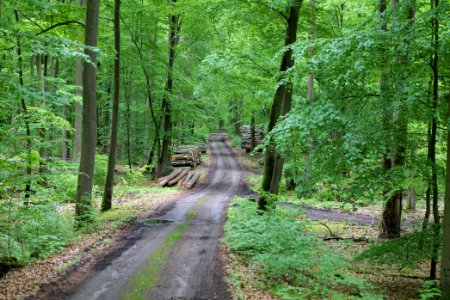 SAC Kleine Schorfheide - Havel 2021-05-29 53