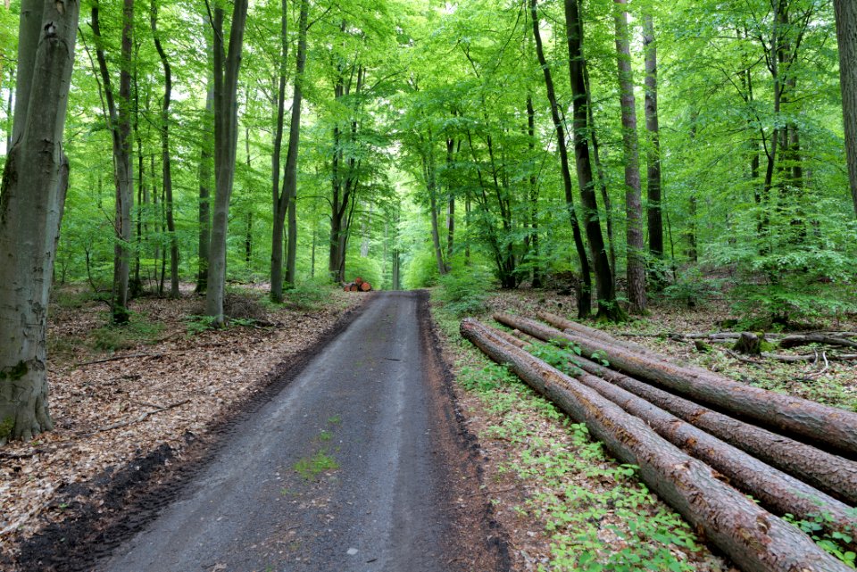 SAC Kleine Schorfheide - Havel 2021-05-29 41