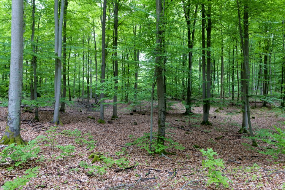 SAC Kleine Schorfheide - Havel 2021-05-29 48