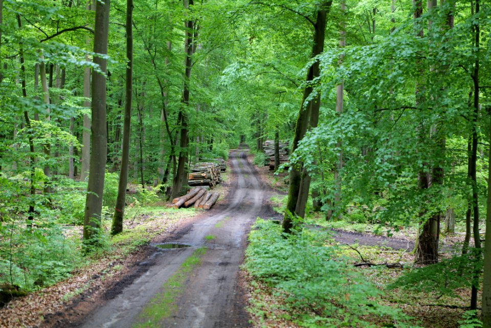 SAC Kleine Schorfheide - Havel 2021-05-29 52