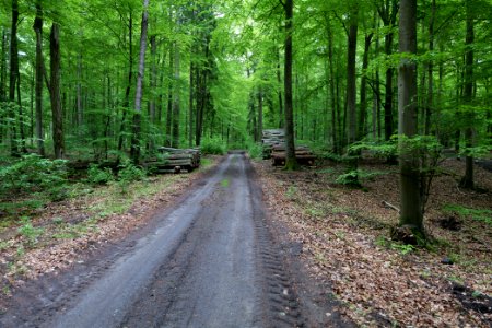 SAC Kleine Schorfheide - Havel 2021-05-29 70