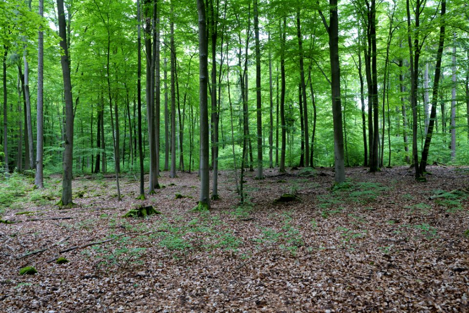 SAC Kleine Schorfheide - Havel 2021-05-29 75