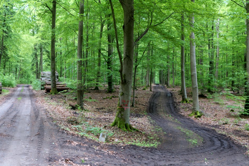 SAC Kleine Schorfheide - Havel 2021-05-29 60