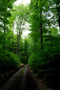 SAC Kleine Schorfheide - Havel 2021-05-29 47