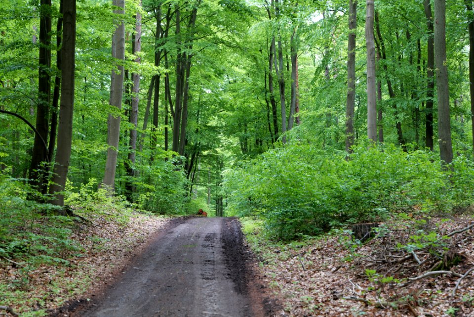 SAC Kleine Schorfheide - Havel 2021-05-29 36