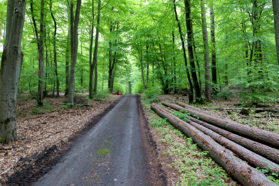 SAC Kleine Schorfheide - Havel 2021-05-29 40
