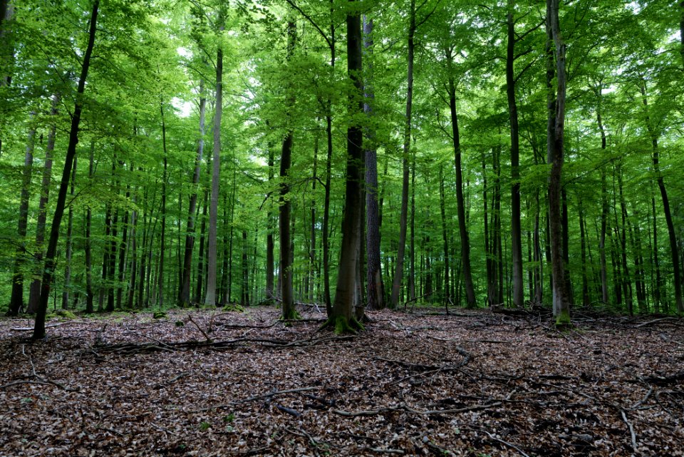 SAC Kleine Schorfheide - Havel 2021-05-29 72