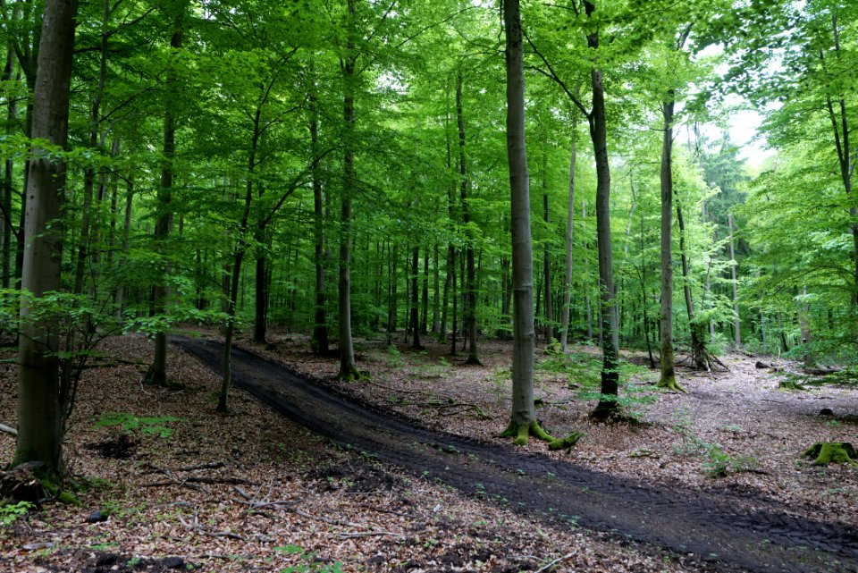 SAC Kleine Schorfheide - Havel 2021-05-29 67