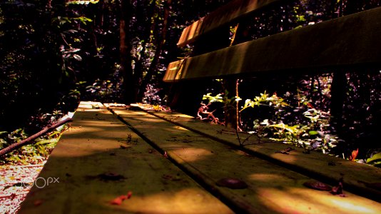 Seat In Nature (187434533)