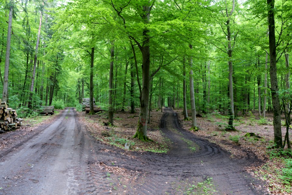 SAC Kleine Schorfheide - Havel 2021-05-29 59