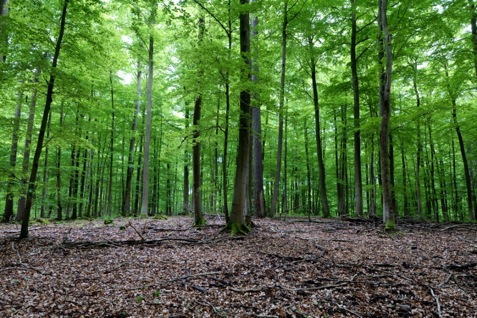 SAC Kleine Schorfheide - Havel 2021-05-29 74