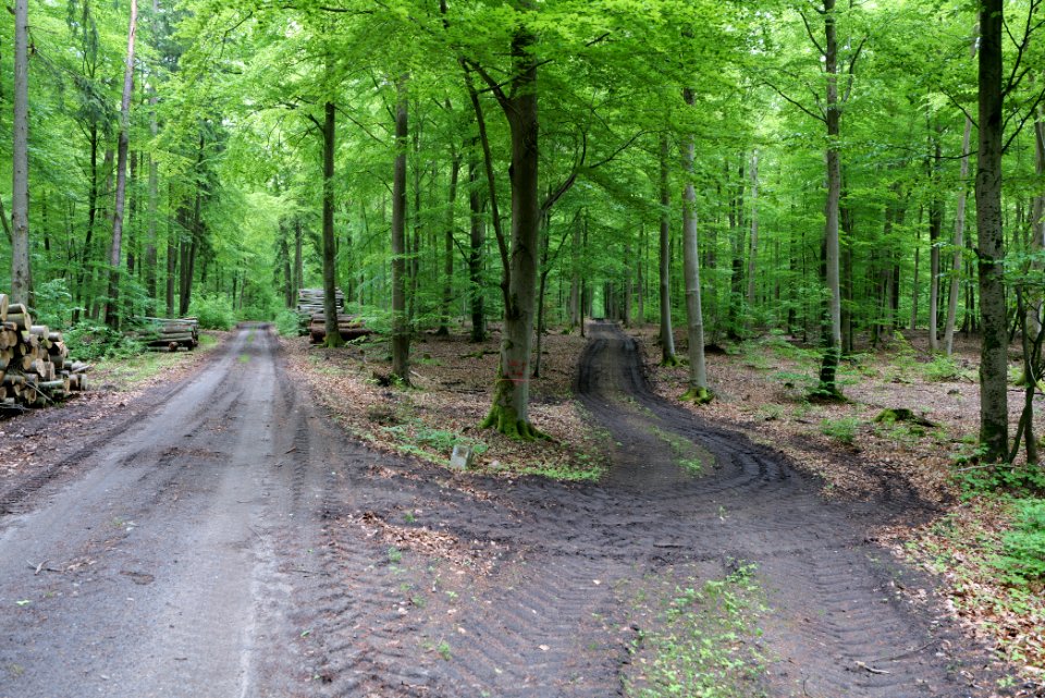 SAC Kleine Schorfheide - Havel 2021-05-29 58