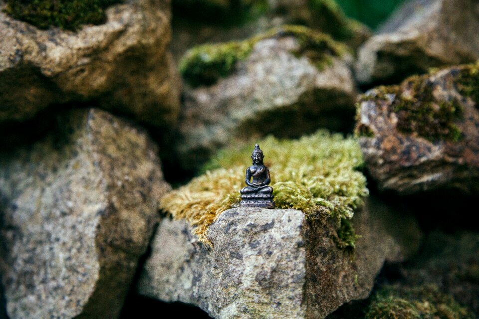 Environment mini miniature