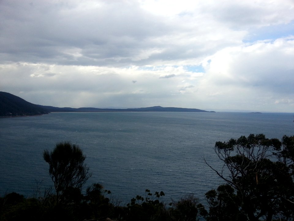 Sealers Cove to Refuge Cove walking track, Wilsons Promontory National Park 06