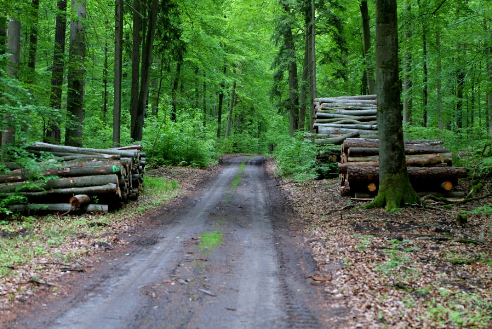 SAC Kleine Schorfheide - Havel 2021-05-29 71