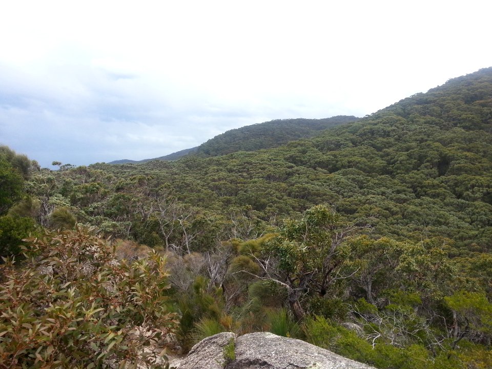 Sealers Cove to Refuge Cove walking track, Wilsons Promontory National Park 08