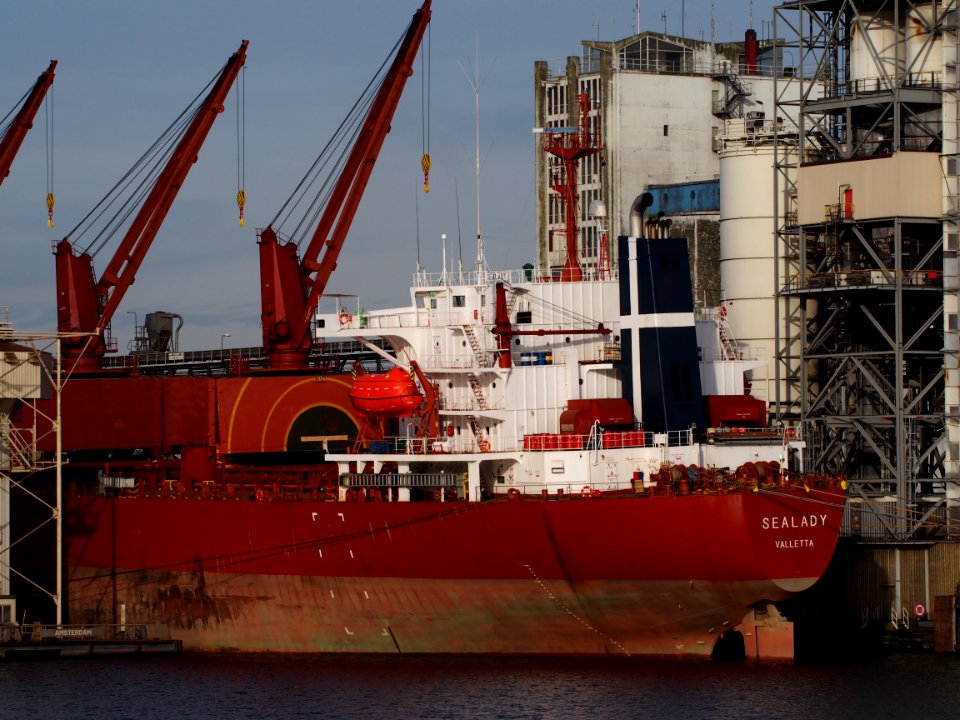 Sealady - IMO 9104421 - Callsign 9HJM7 at Port of Amsterdam, pic1