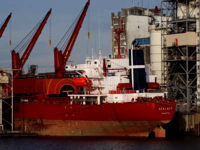 Sealady - IMO 9104421 - Callsign 9HJM7 at Port of Amsterdam, pic1