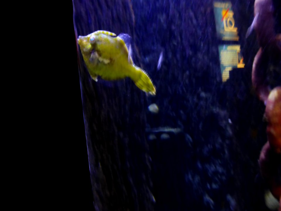 Sealife-Munich-17