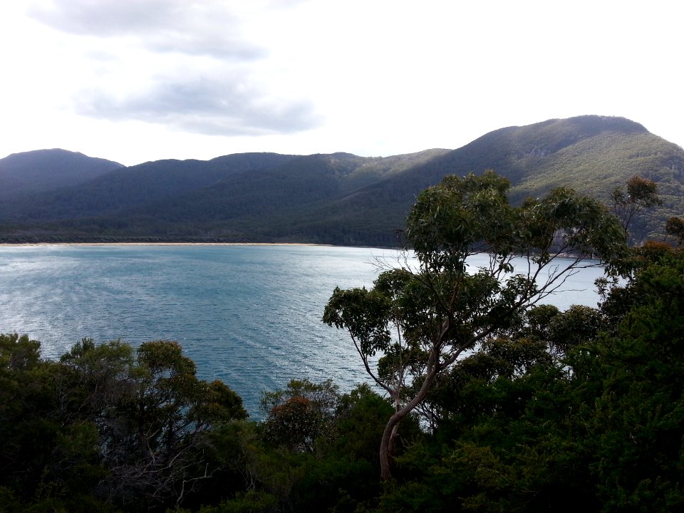 Sealers Cove to Refuge Cove walking track, Wilsons Promontory National Park 02