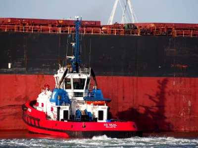 SD SEAL, IMO 9448188 in the Mississippi harbor, Port of Rotterdam, pic9