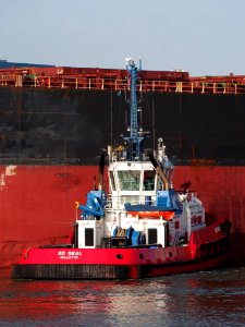 SD SEAL, IMO 9448188 in the Mississippi harbor, Port of Rotterdam, pic4