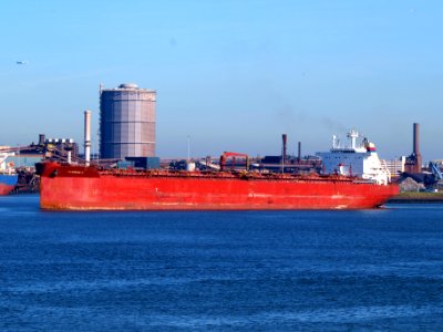 Searose G - IMO 9050096 - Callsign C6UC2, at IJmuiden, Port of Amsterdam photo-1