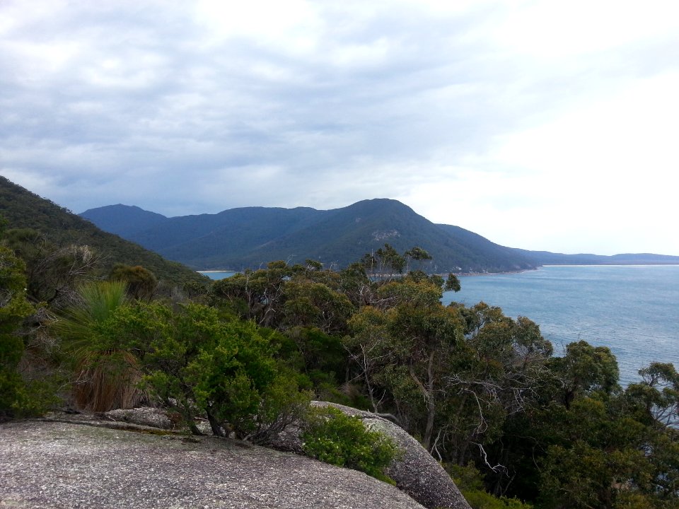 Sealers Cove to Refuge Cove walking track, Wilsons Promontory National Park 10