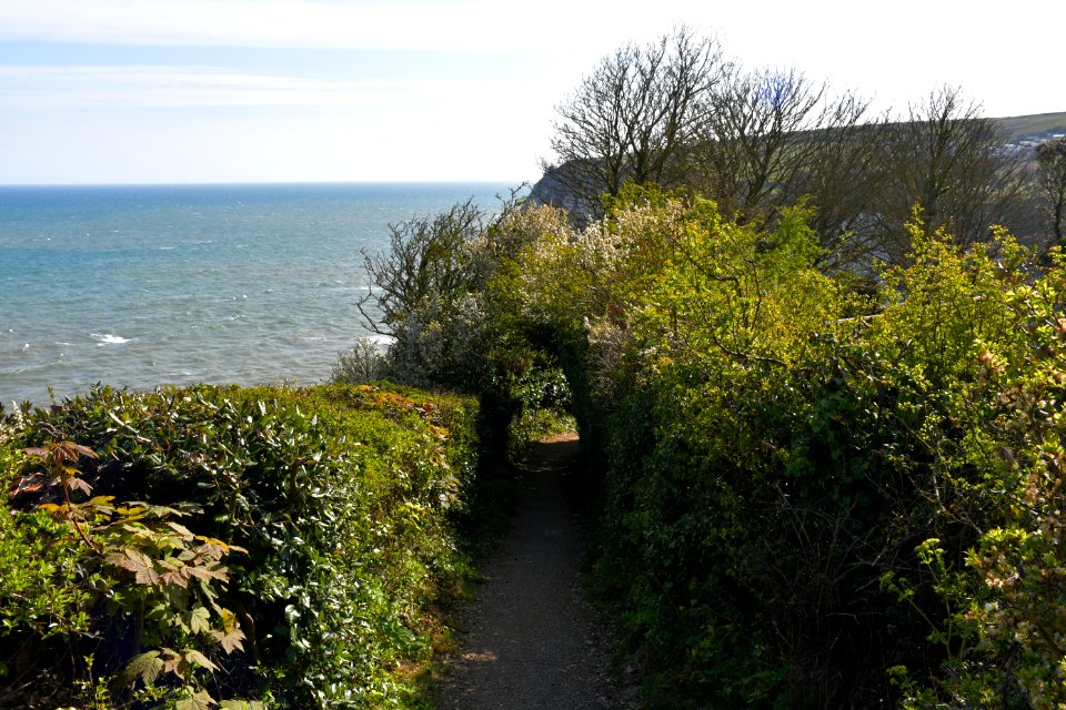 Seaton (2021-04-24) 46